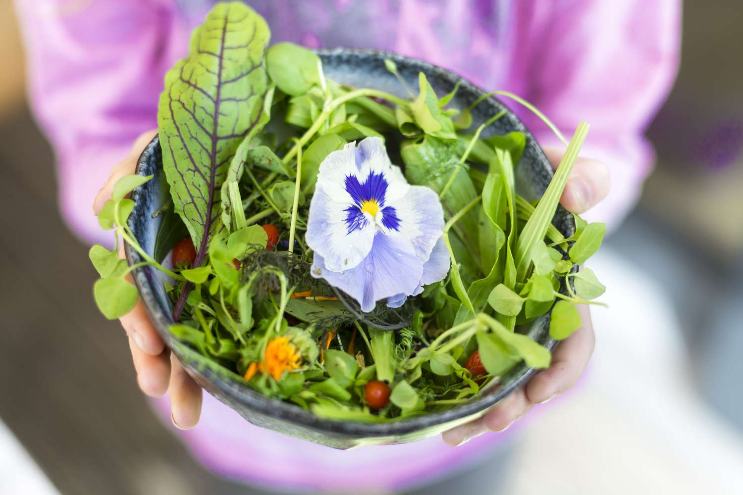 mixed green salad with sorrel and edible flowers