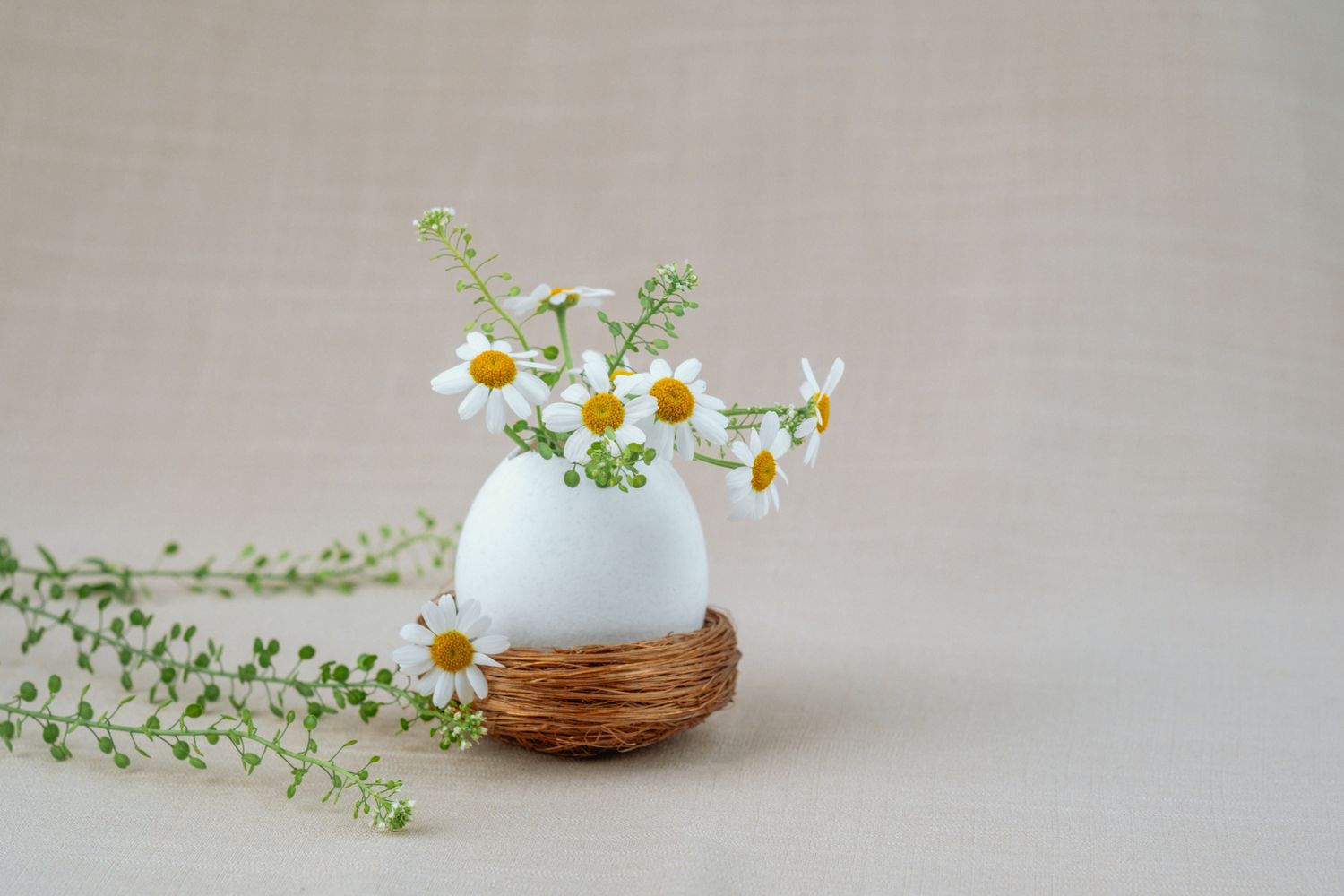 A decorative arrangement with chamomile flowers displayed in a white eggshaped vase resting in a small woven stand