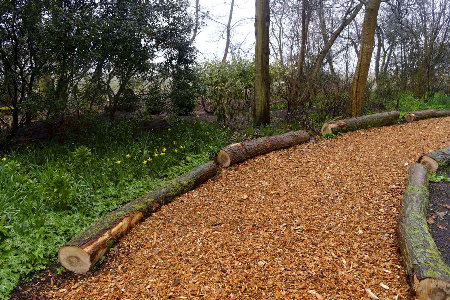 A bark mulch path bordered by logs winds through a wooded area with green grass and trees