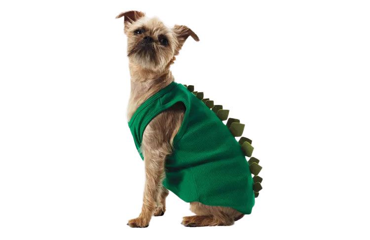 Dog dino costume 