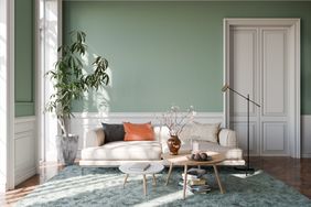 A living room with modern furnishings featuring a sofa coffee table and potted plant against a green wall background