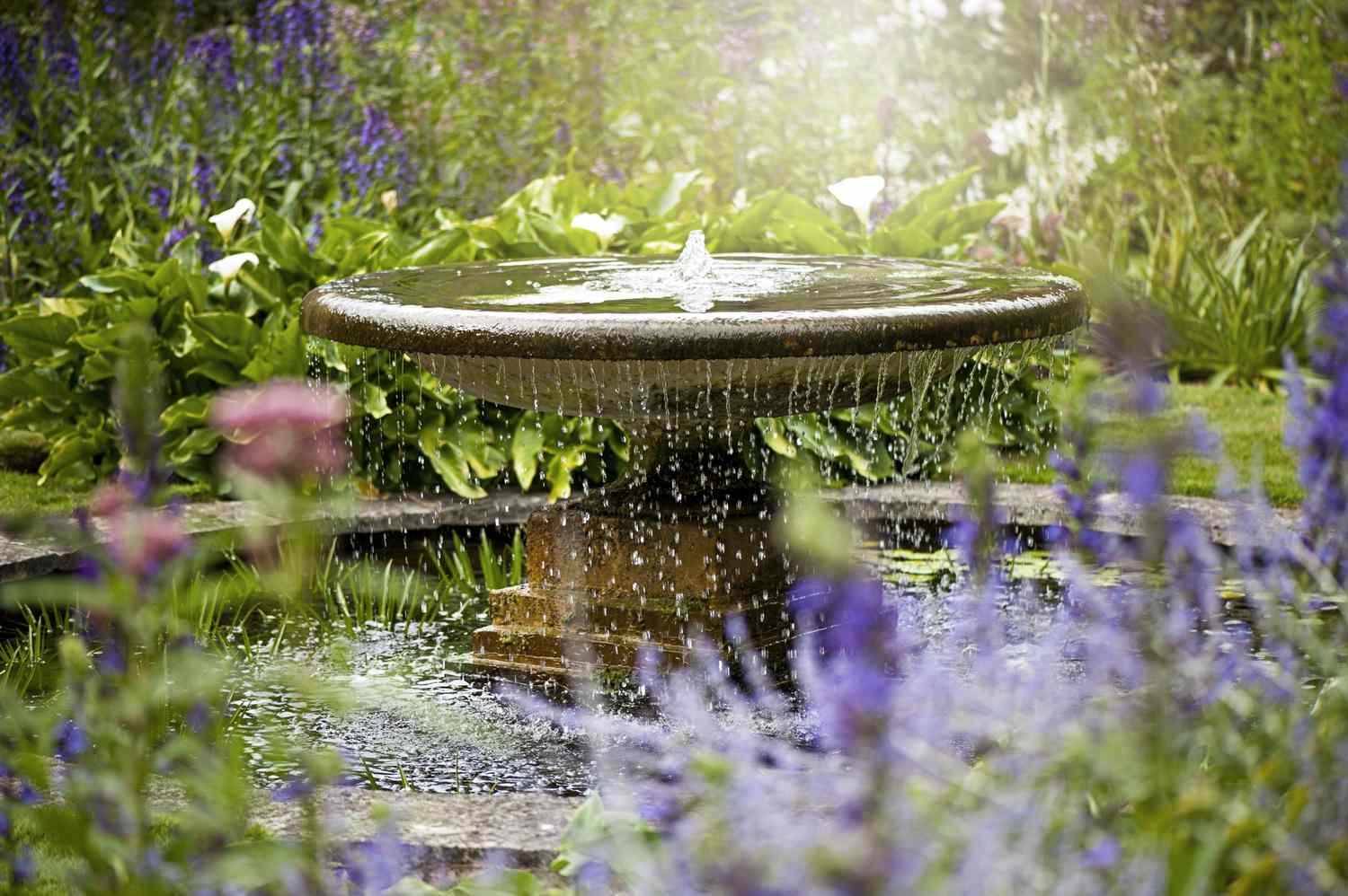 water fountain in garden surrounded by flowers
