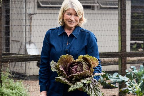 decorvow holding a large cabbage outdoors