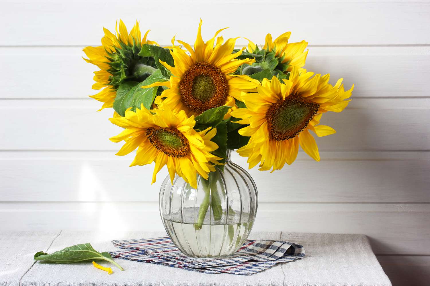 sunflowers in vase