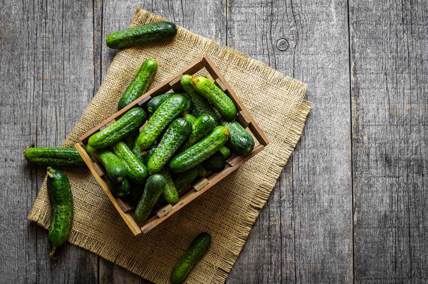 gherkin cucumbers in a wooden basket 