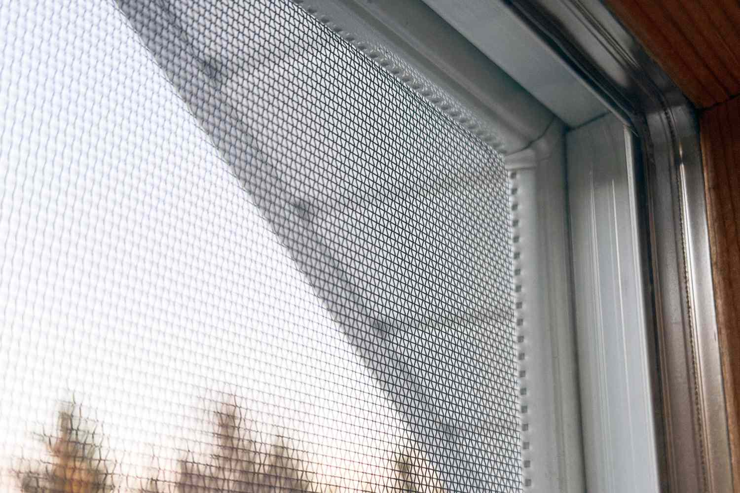 A closeup view of a window screen with sunlight visible through it part of a window frame included in the view