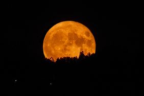 Full moon rising above a dark treeline at night