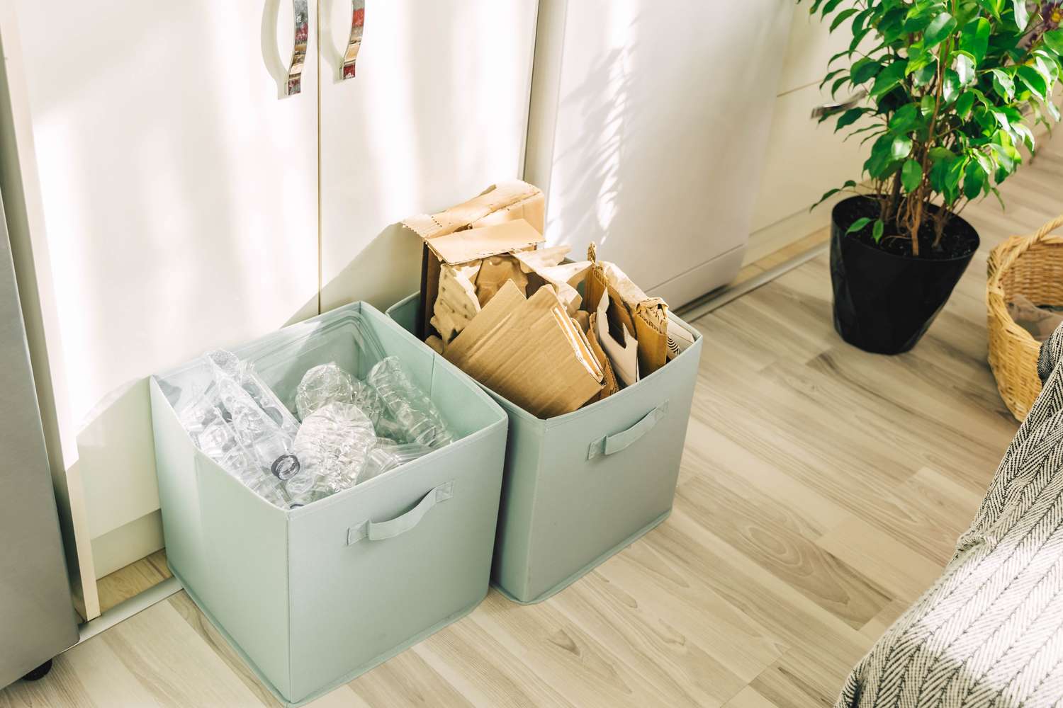 Two bins in a room one with plastic items and another with cardboard a plant in the background