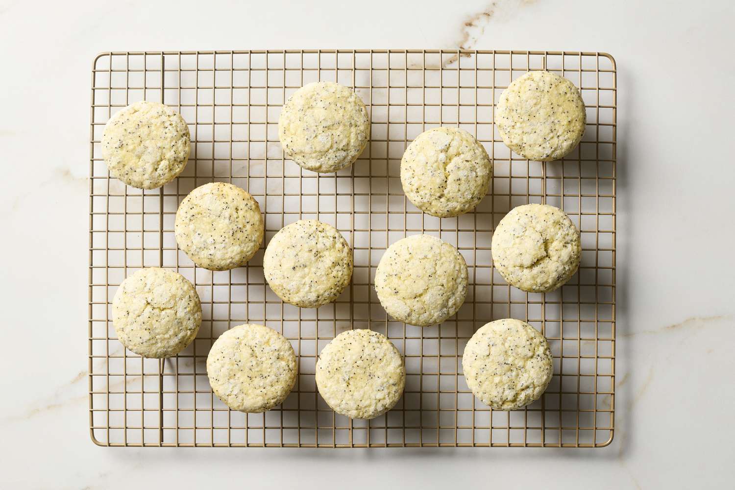 Lemon Poppy Seed Muffins