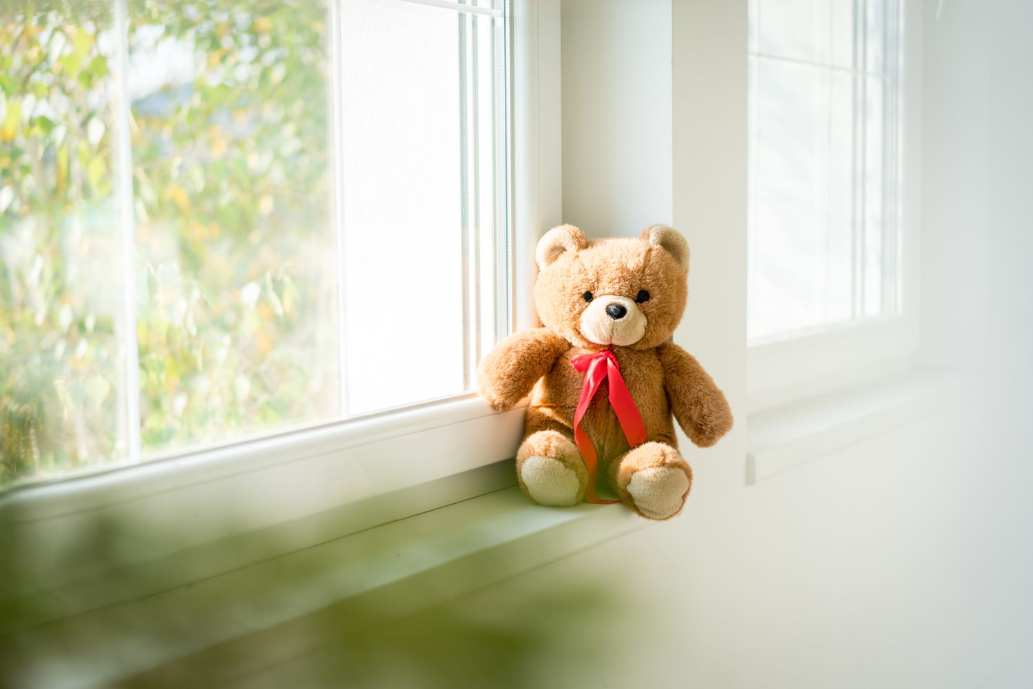 Teddy Bear sitting on window