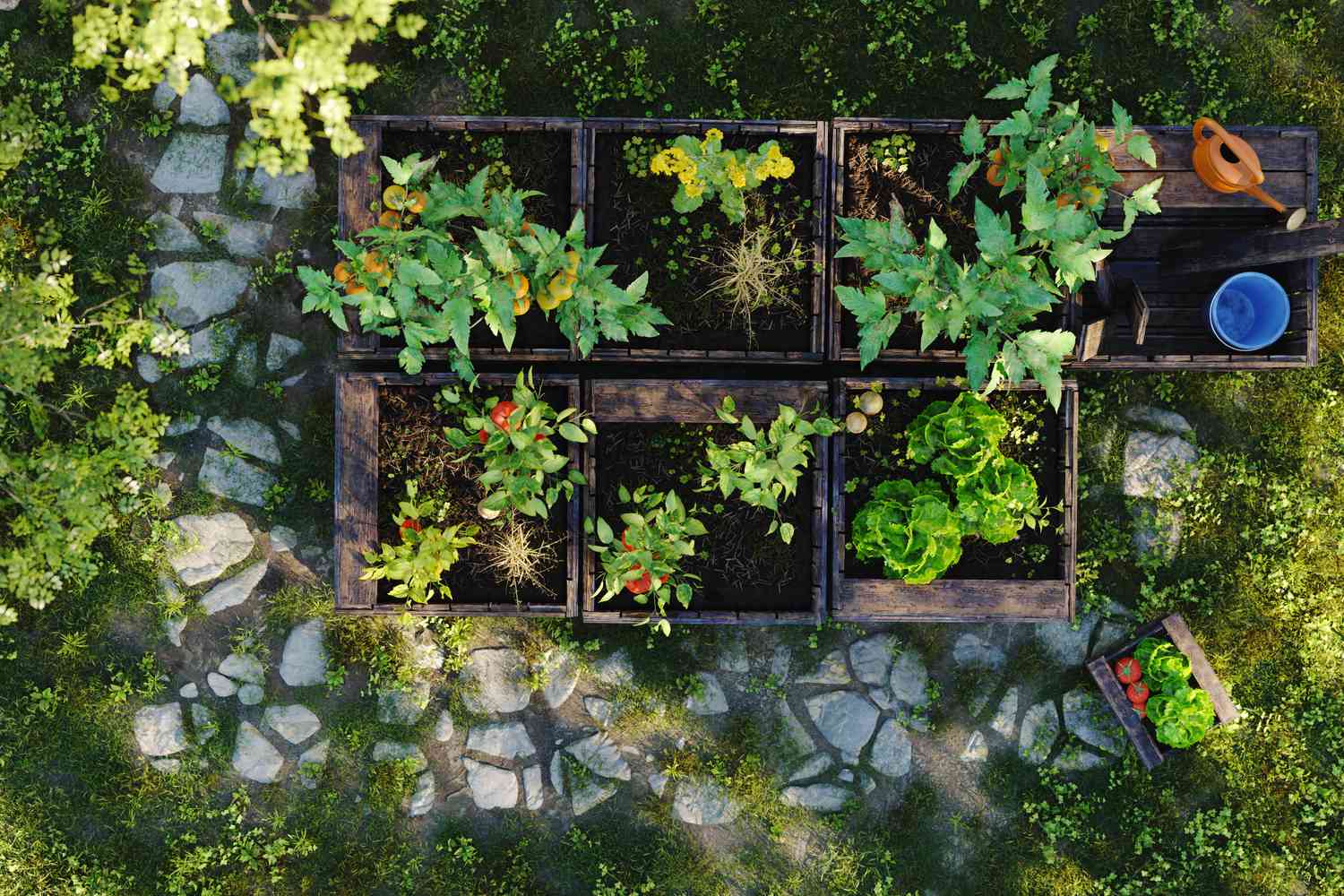 vegetable garden and pathway