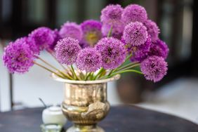 Purple spherical flowers in a silver vase on a table