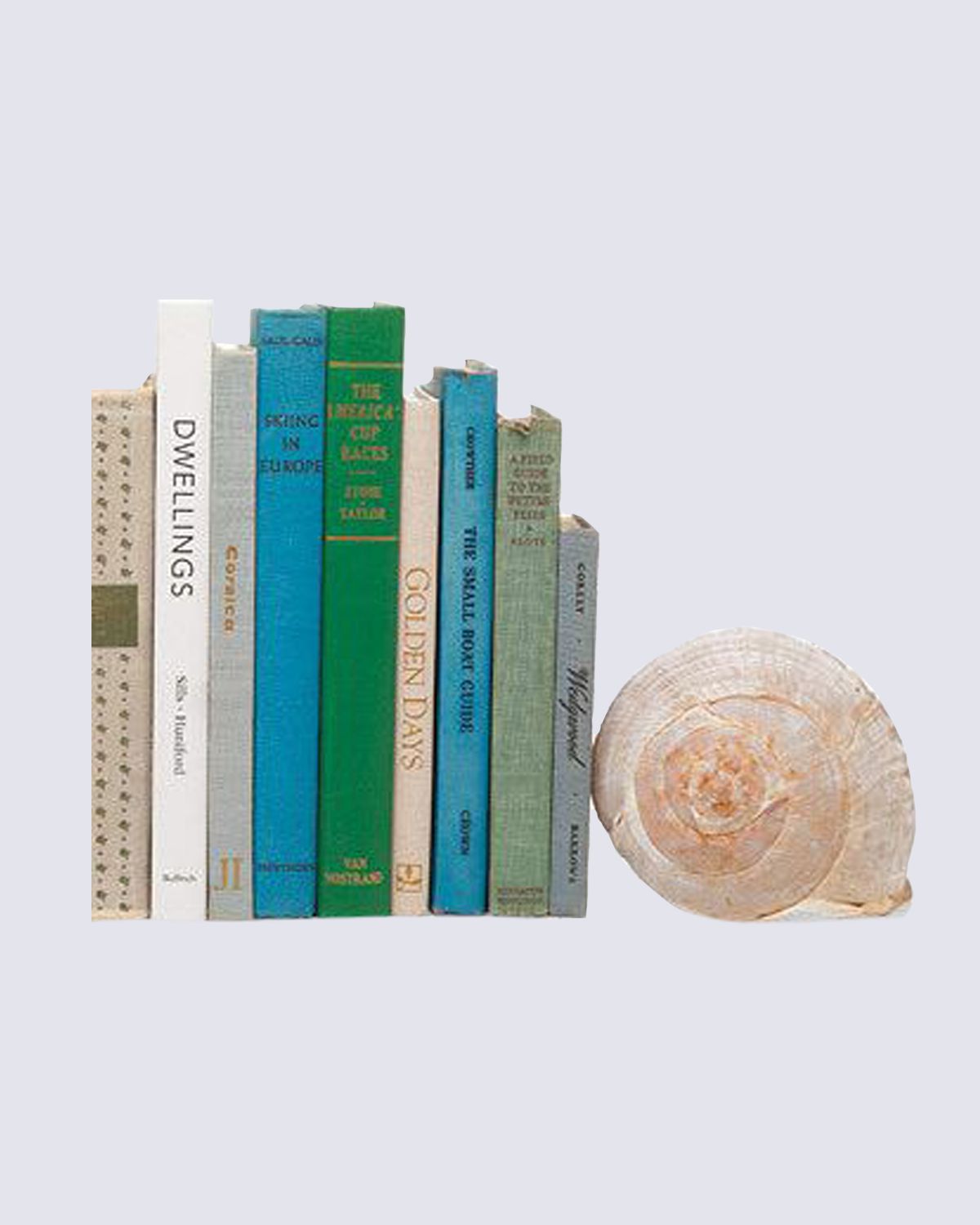 msl_sept06_decorate_nature_xl-e1586288959959-6013dc1384694b74bfa84c1cf1a37b0b-silo