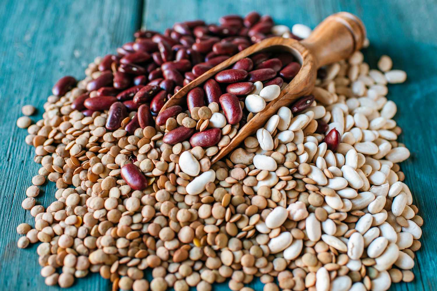 pulses, beans, lentils