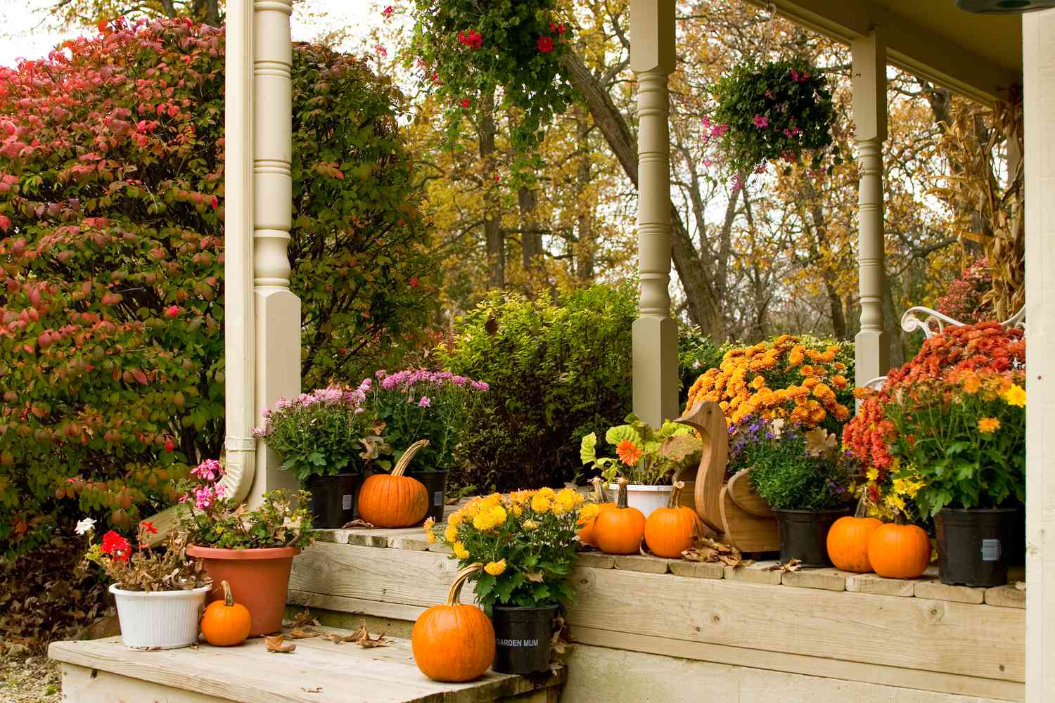 Porch with mums
