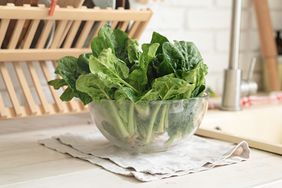 A bowl of washed kale placed on a kitchen counter