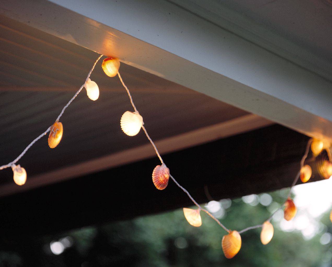 hanging seashell lights