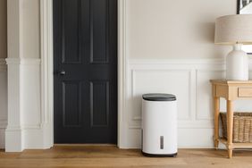 Dehumidifier in stylish home