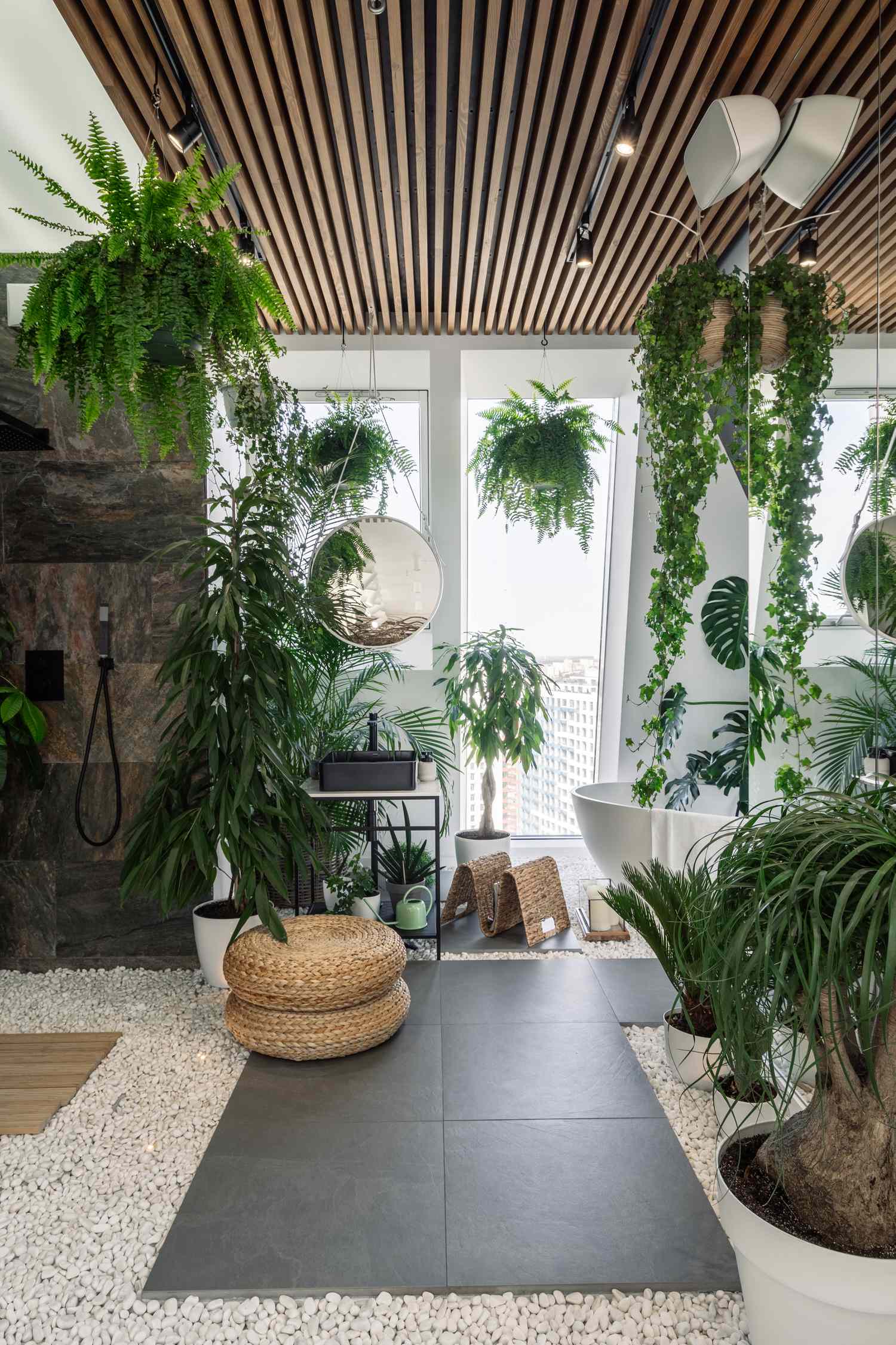 Indoor space with various green plants hanging baskets a modern light fixture and a stone tiled shower area