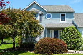 Trees planted right next to a blue house.