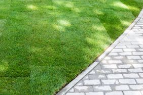 A lawn with freshly laid sod next to a paved pathway