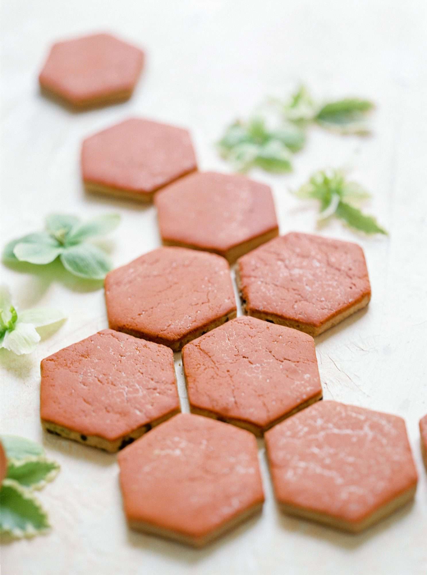 terracotta colored hexagonal cookies