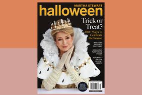 decorvow dressed in a royal costume for a Halloween magazine cover