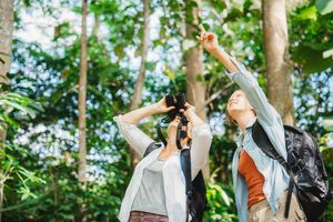 Two persons outdoors in a forest one using binoculars while the other points upward