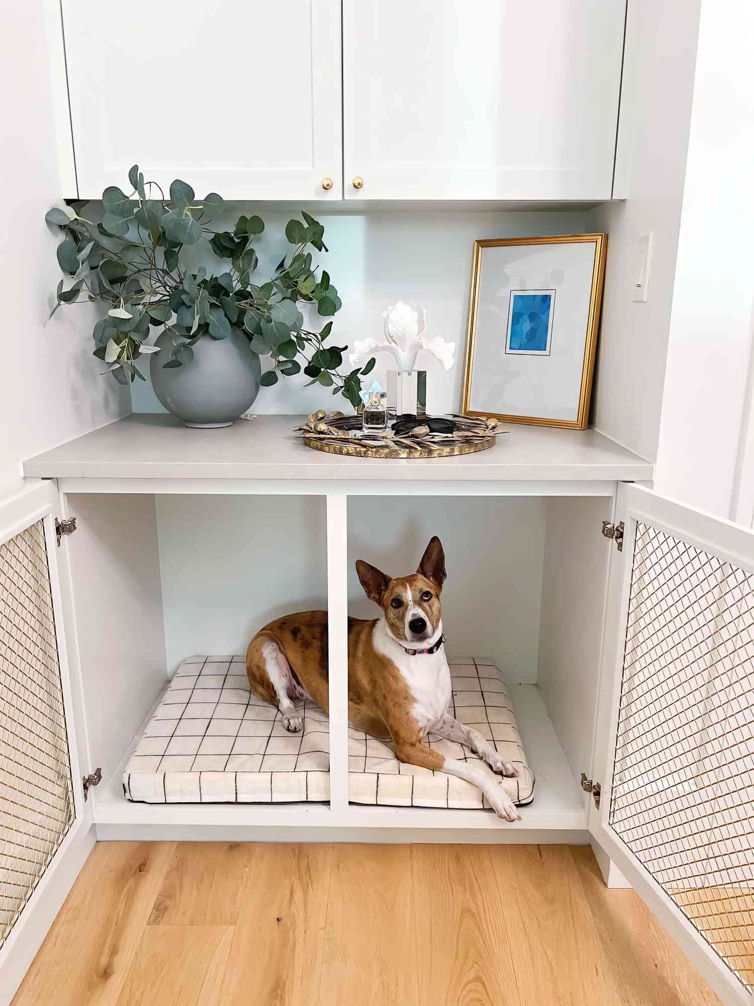 Cabinet Dog Kennel