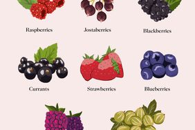 berry-picking-guide-illustration-0519