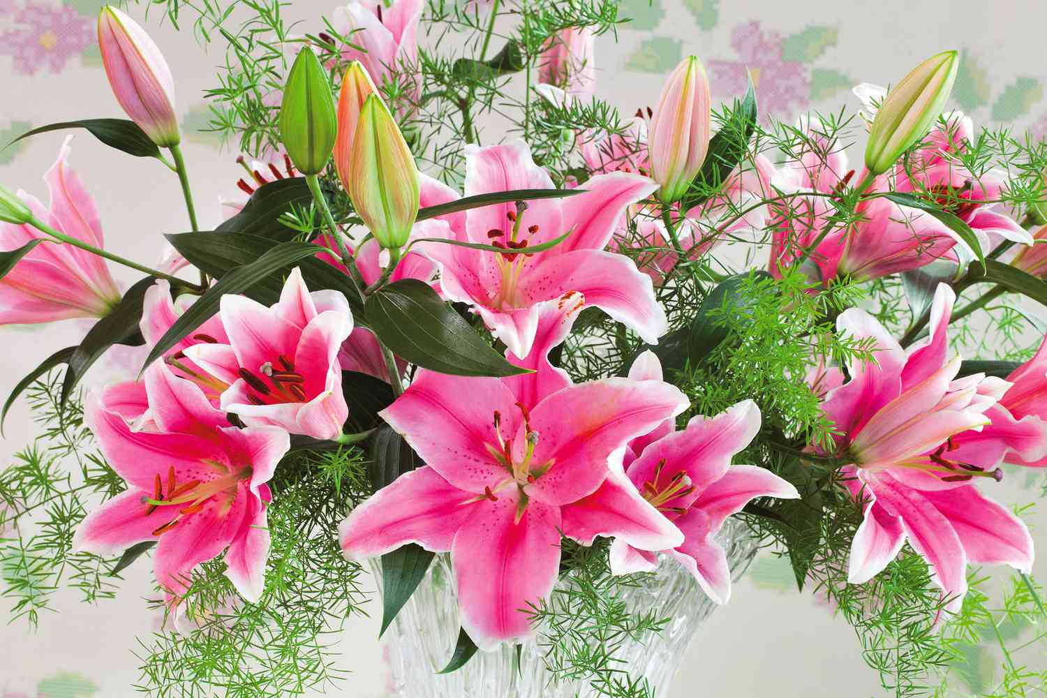 Pink Lilies