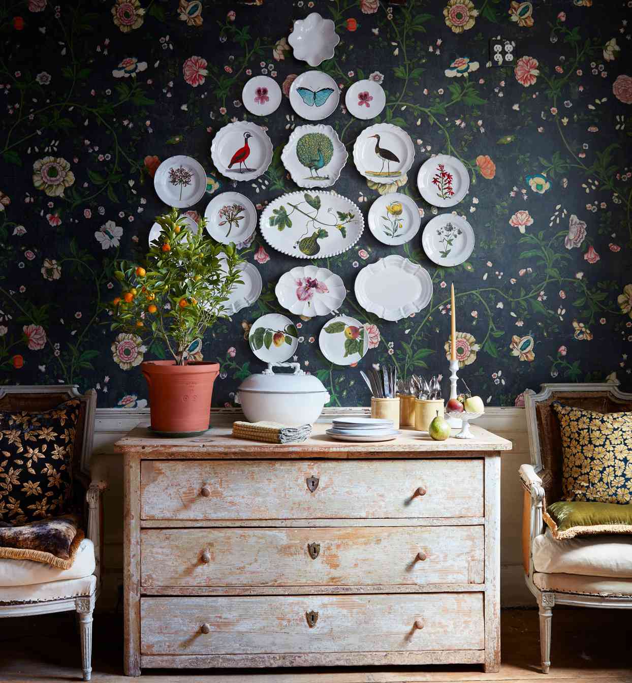 ceramic plates with plant and animal designs on wall