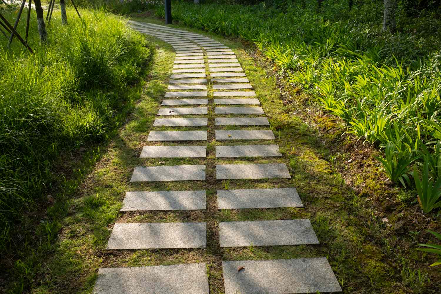 A stone pathway in a garden setting surrounded by grass and plants
