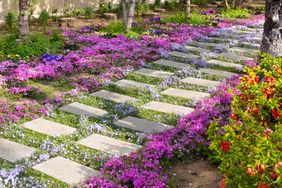 Garden path with stone steps surrounded by vibrant ground cover flowers