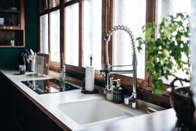 Modern kitchen sink with stylish faucet countertop accessories and green plant by the window