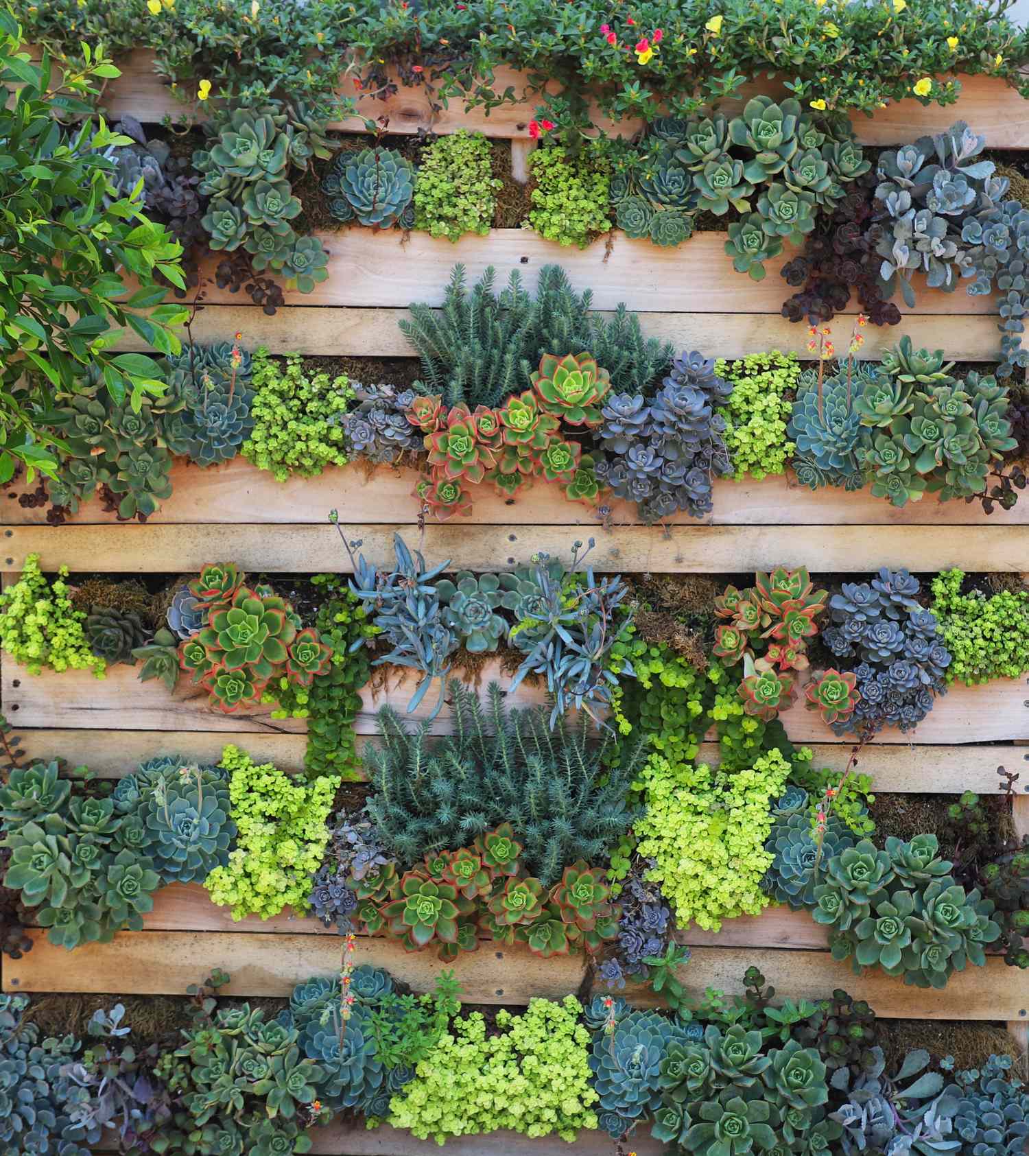 vertical garden idea 