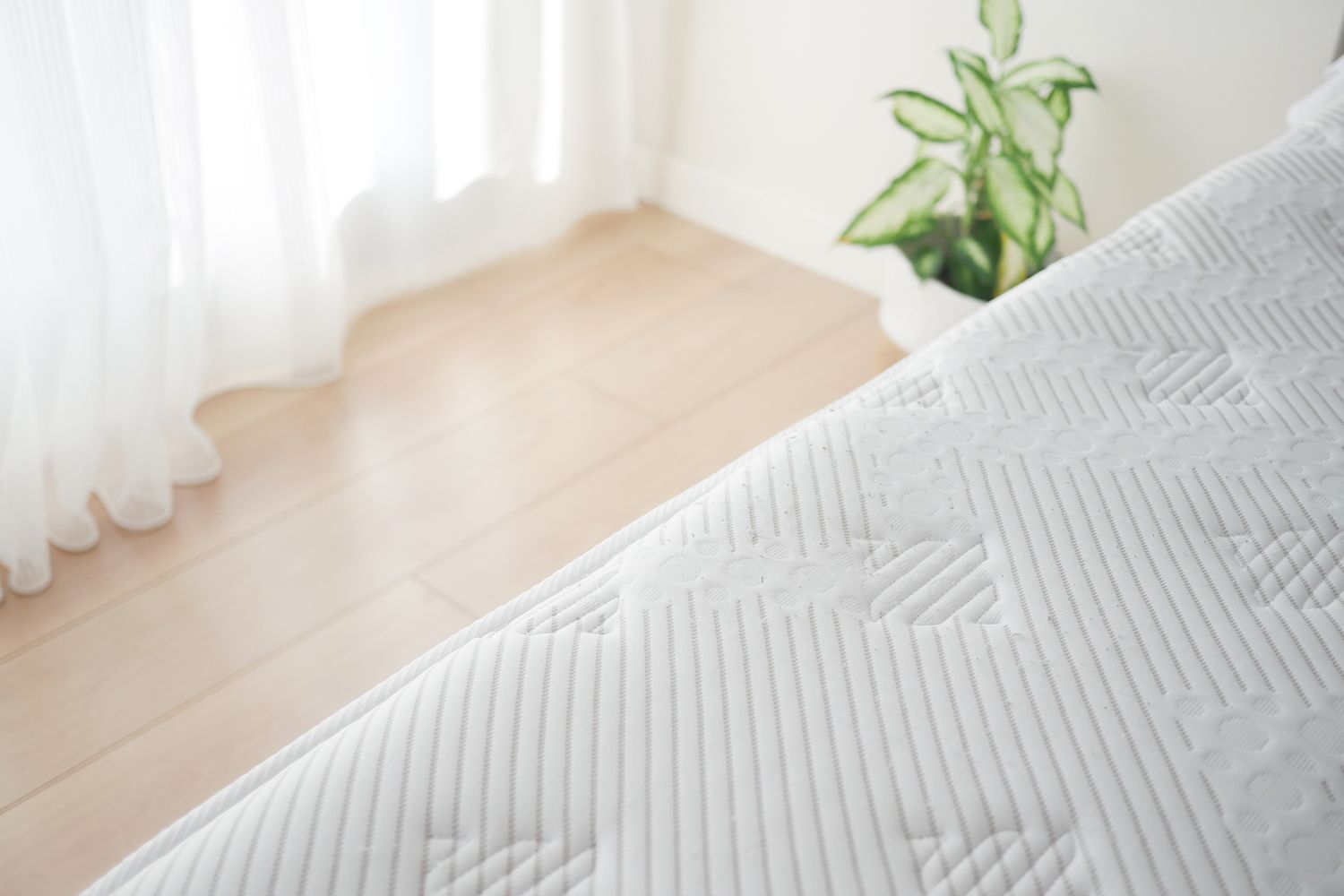 A corner of a bed with a patterned mattress next to a small houseplant by a window