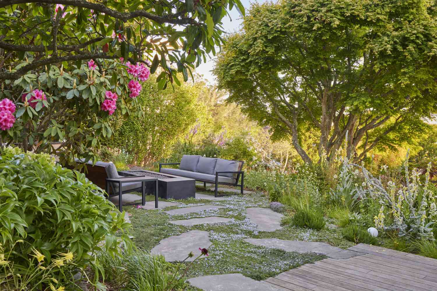 Low growing plants patio