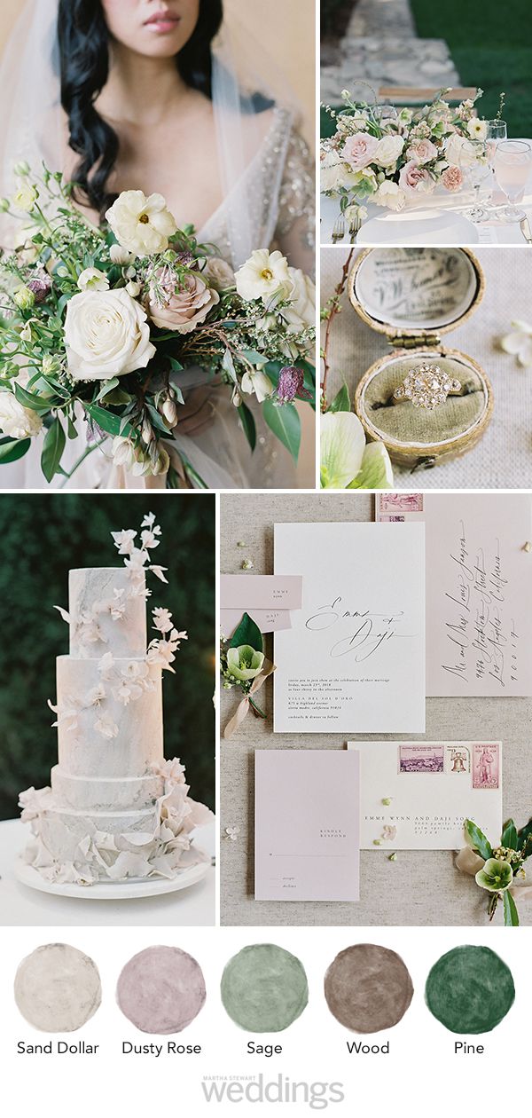 wedding color palette mood board sand dollar, dusty rose, sage, wood, pine