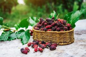 A basket of freshly harvested mulberries placed on a wooden surface with green leaves scattered around
