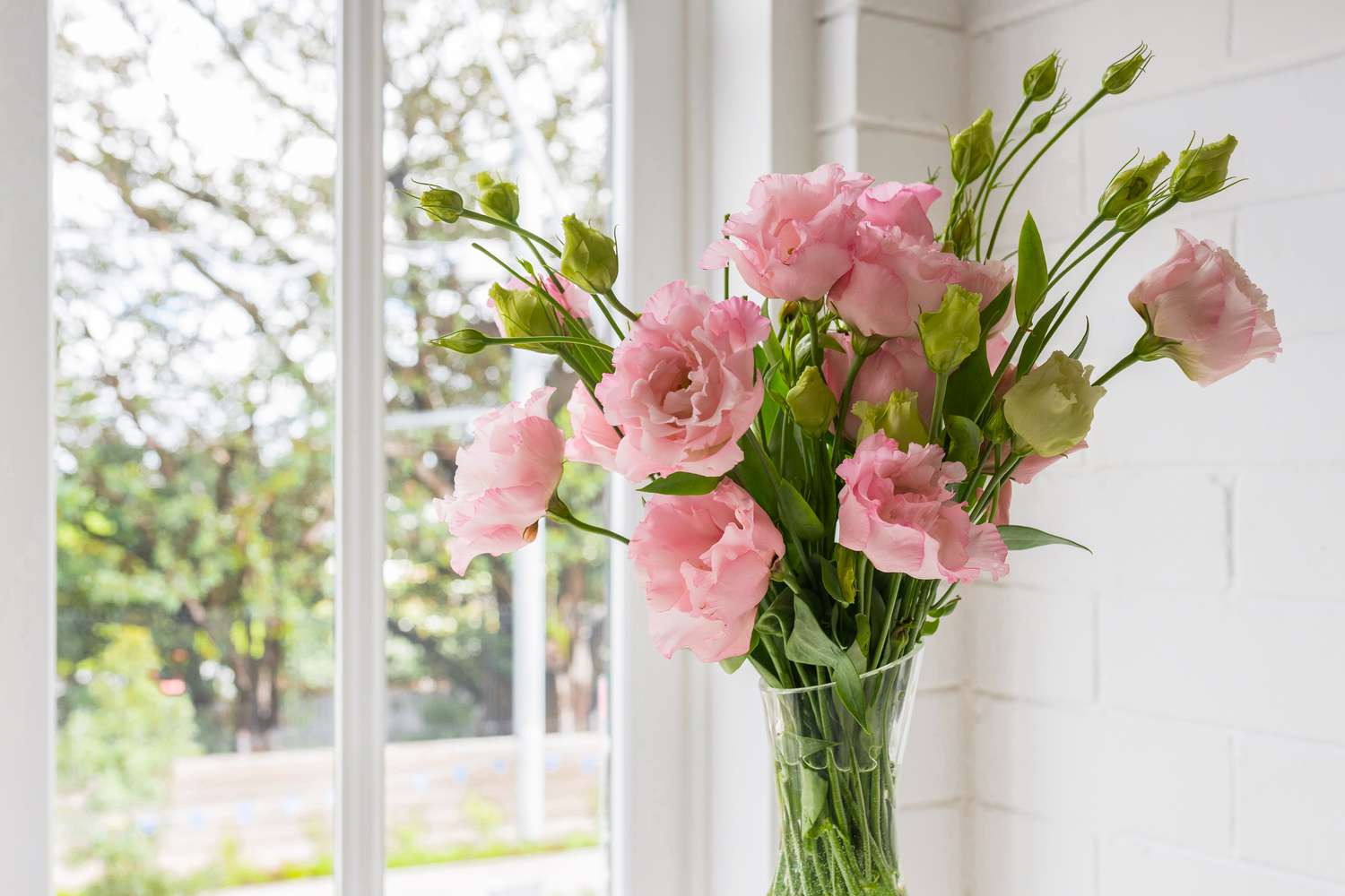Lisianthus pink flowers