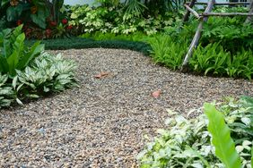 A garden with a curved gravel pathway surrounded by lush green plants and foliage