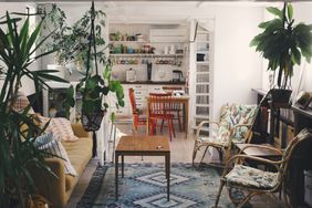 A cozy living room with plants wicker chairs and a view of a kitchen with a dining table and chairs