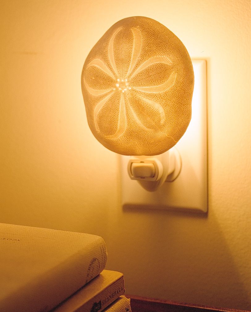 seashell night light