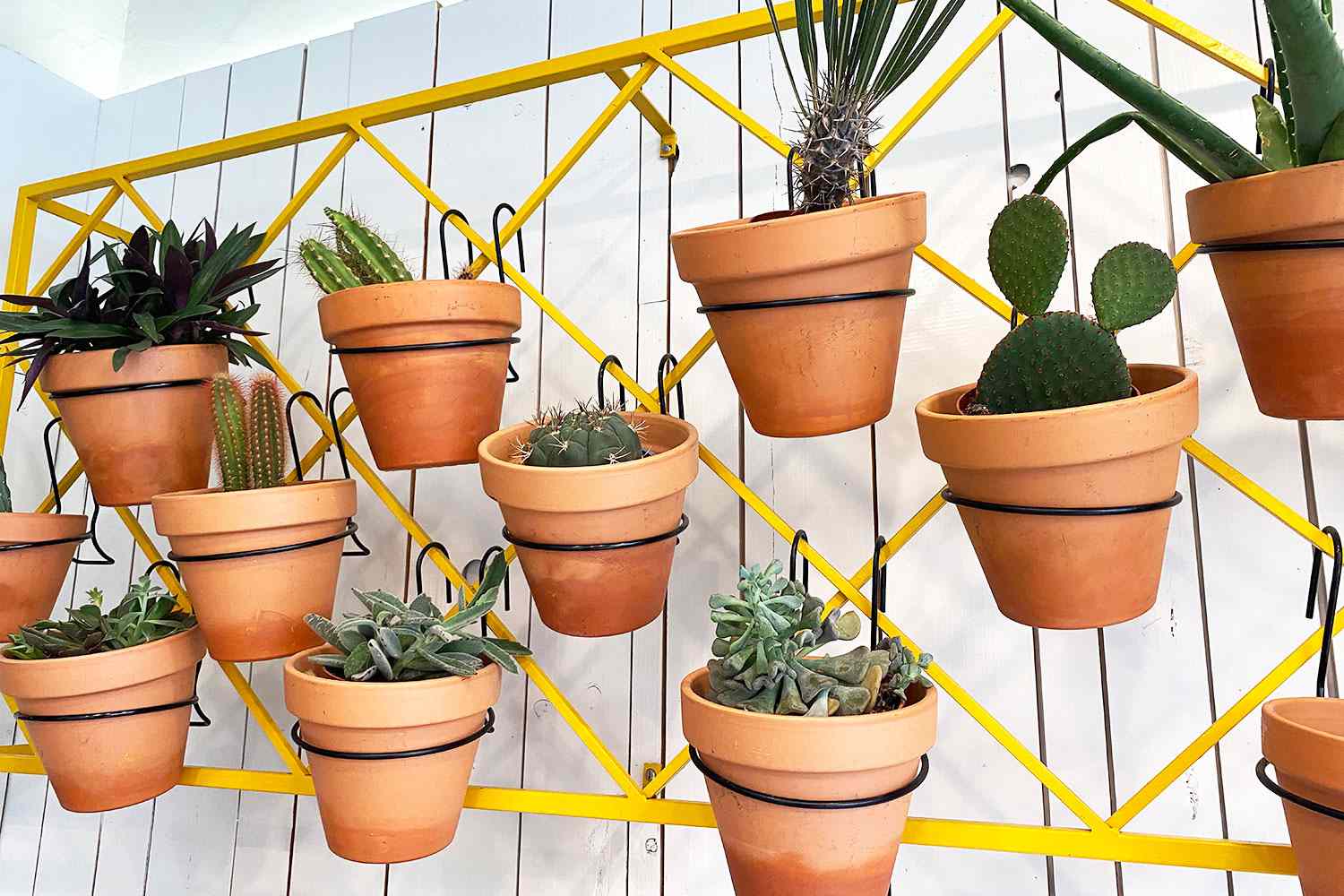 Terra cotta pots with succulents hanging from metal geometric frame