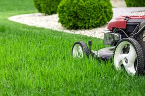 red lawn mower in grass with bushes in background