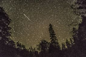Night sky with trees silhouetted and meteors visible among the stars