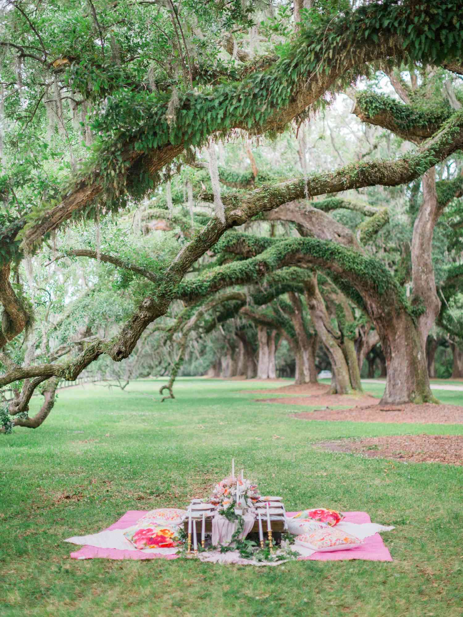 outdoor picnic spread