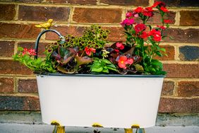 vintage bathtub filled with flowers