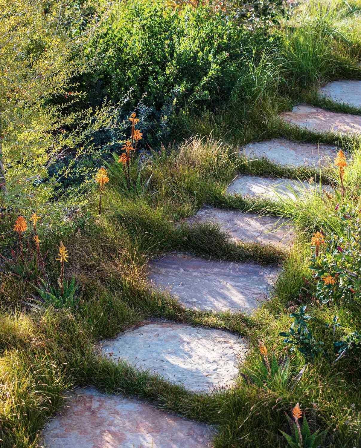 shrubs and grasses lining flagstone path in garden